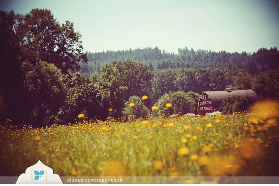 vintage wedding 1000 Sarah + Reed in Chehalis, WA photo