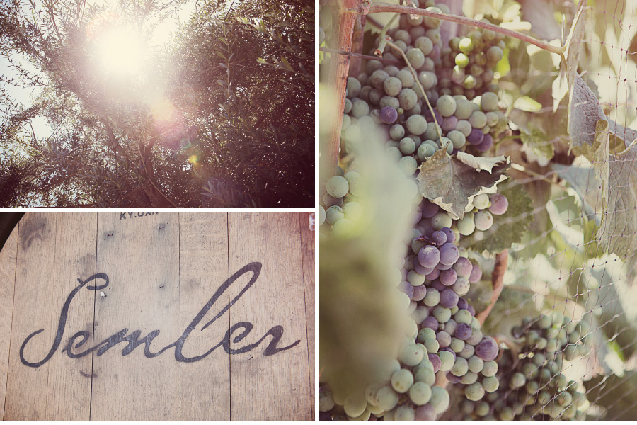 Sadderock Ranch Wedding6 Saddlerock Ranch : Malibu, California photo