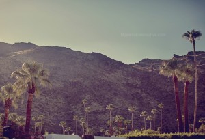 korakia-palm-springs-wedding10