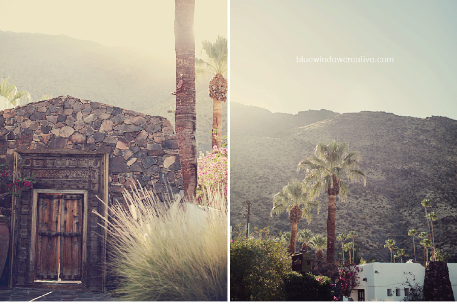 korakia-palm-springs-wedding9 korakia palm springs wedding91 The Korakia : Palm Springs, California photo