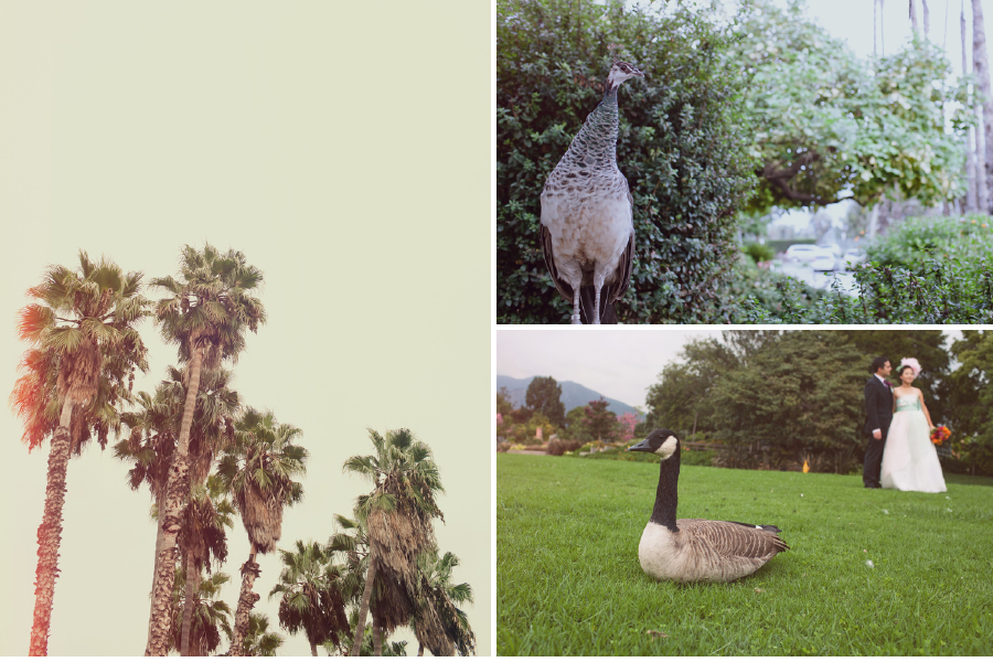 mythical creatures wedding14 Song + Dony in Los Angeles, CA photo