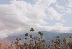 Palm-Springs-Wedding_1