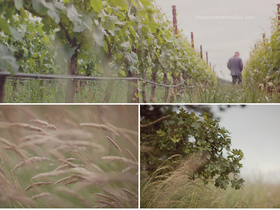 winery photography 03 Antica Terra in the Willamette Valley, OR photo