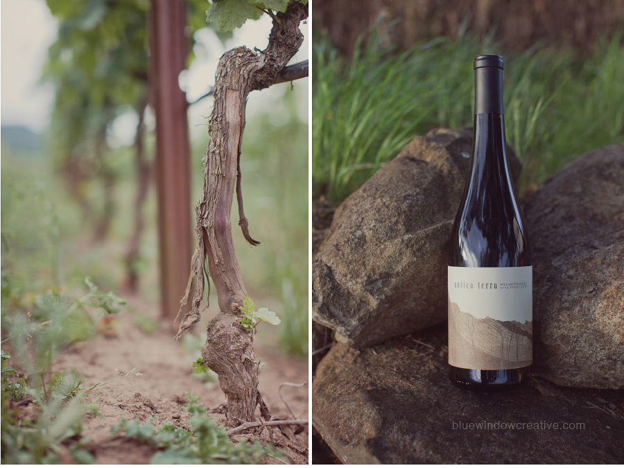 winery photography 09 Antica Terra in the Willamette Valley, OR photo
