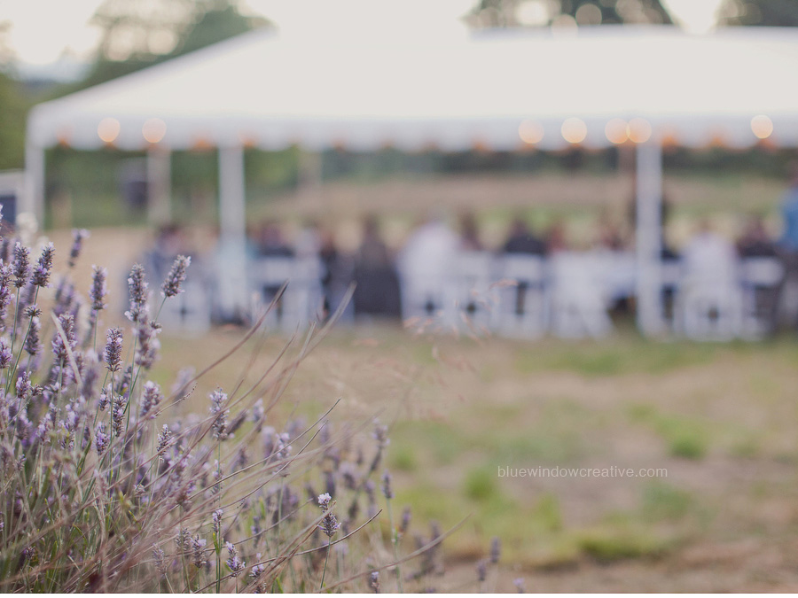 vashon island wedding 59 Shanti + Chris on Vashon Island, WA photo