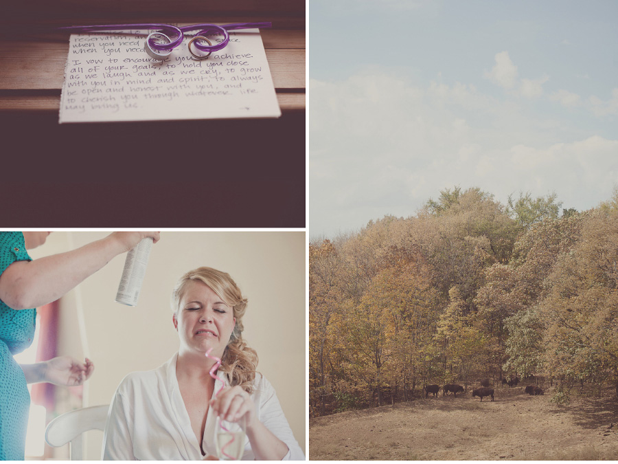 Rustic Wedding 05 Quinn + Steve near Lawrence, KS photo