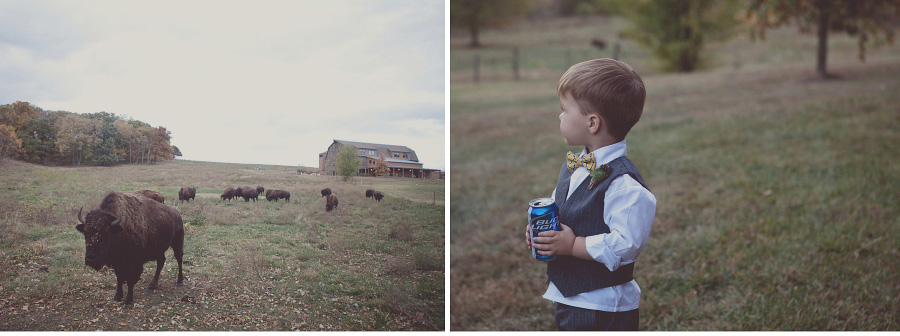 Rustic Wedding 26 Quinn + Steve near Lawrence, KS photo