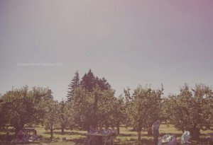 Rustic-Oregon-wedding-161