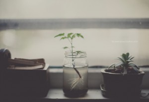 blue-window-creative