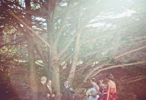 headlands wedding 111 300x205 Sarah + Neil . Sausalito, CA photo