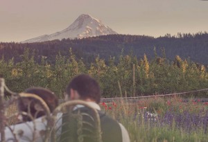 mt hood vintage 118 300x205 Amy + Steve . Hood River, OR photo