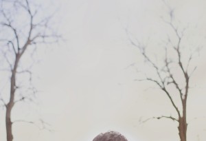 eloped 179 300x205 Bridget + Dan, Eloped Near a Barn photo