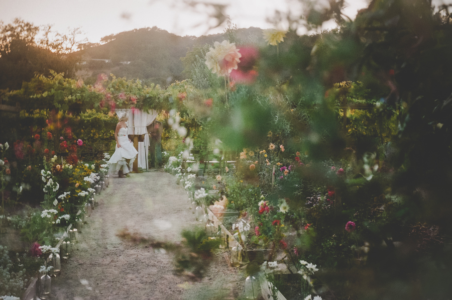 Wedding Photography Film 2045 Vanessa + Tyler in San Luis Obispo, CA photo