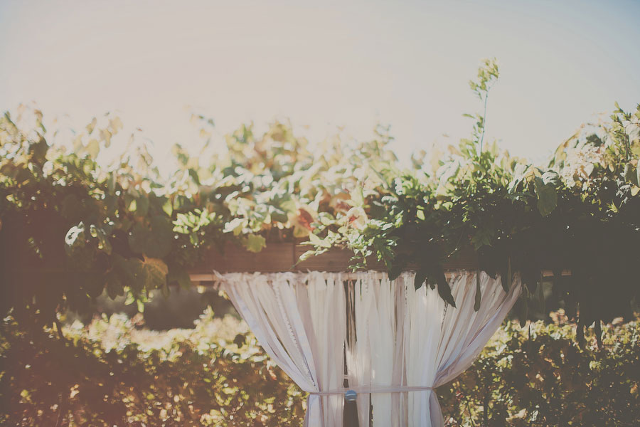 102 Barn San Luis Obispo Wedding Vanessa + Tyler in San Luis Obispo, CA photo