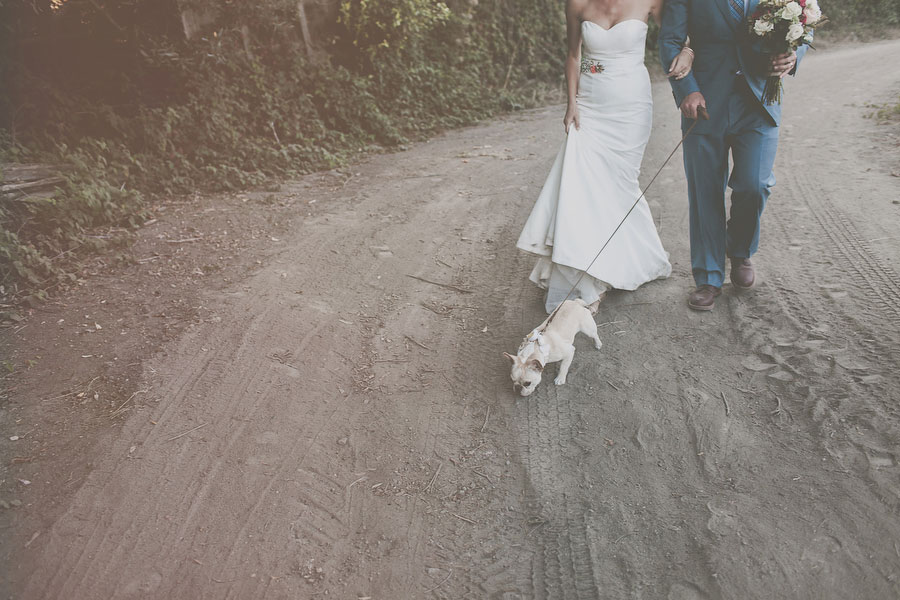 113 Barn San Luis Obispo Wedding Vanessa + Tyler in San Luis Obispo, CA photo