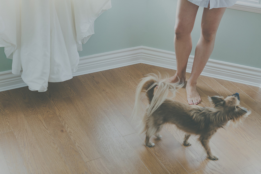 124 Pacific Northwest Wedding Photographer Jen + Brandon photo