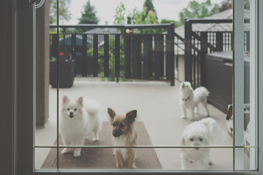 129 Pacific Northwest Wedding Photographer Jen + Brandon photo