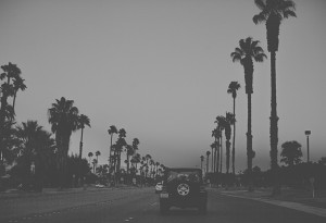81 Palm Springs Eloped 300x205 Megan & Ryan Eloped photo